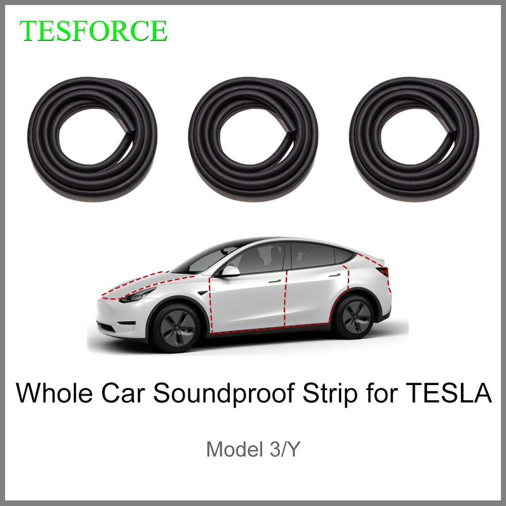 Weathering Model Kit - Cho Mẫu Tesla Model 3/Y 2017-2022