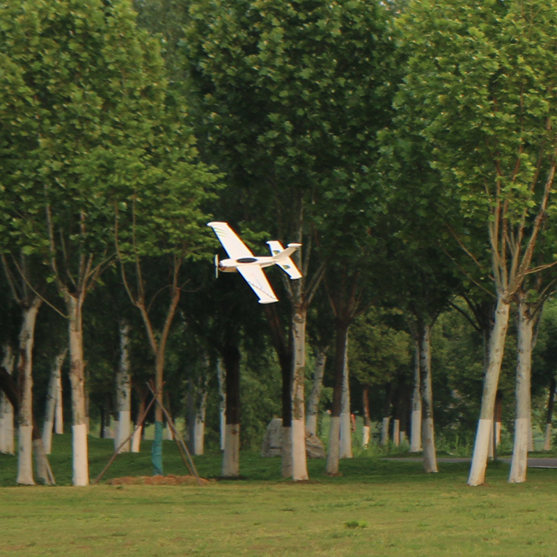 Skywalker Speed G Rc Fixed Fly - đánh giá và giá Model Kit Competition